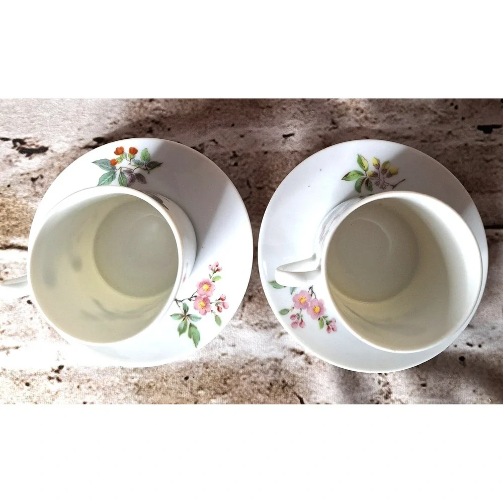 Pair of‎ Vintage Discontinued 80's Mottahedeh 8502 Aviary Pattern Cups & Saucers